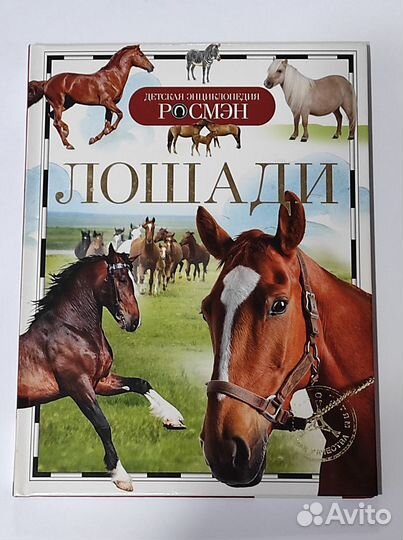 Энциклопедия 