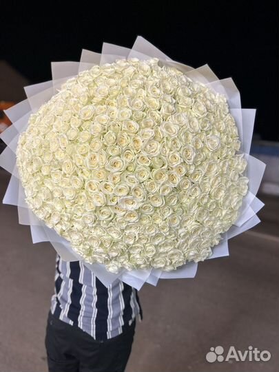 101 белая роза 70 см