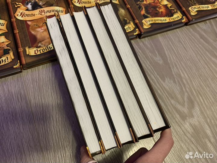 Коты воители книги разные