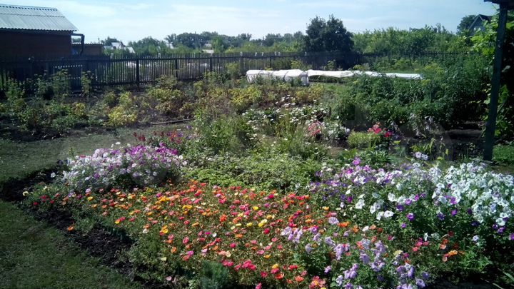 Дача 40 м² на участке 10 сот.