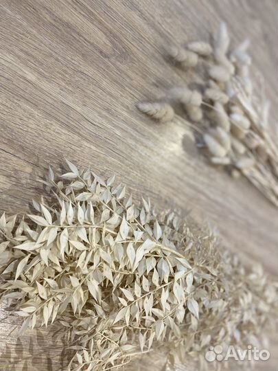 Сухоцветы (пампасная трава, Лунария)