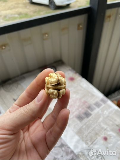 Грецкий орех