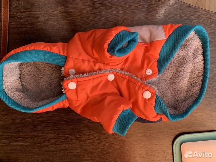 Товары для собак мелких пород