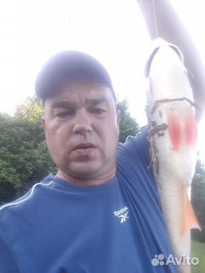 Любая хорошооплачиваемая