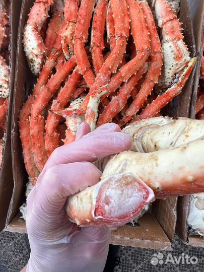 Краб Камчатский размер L