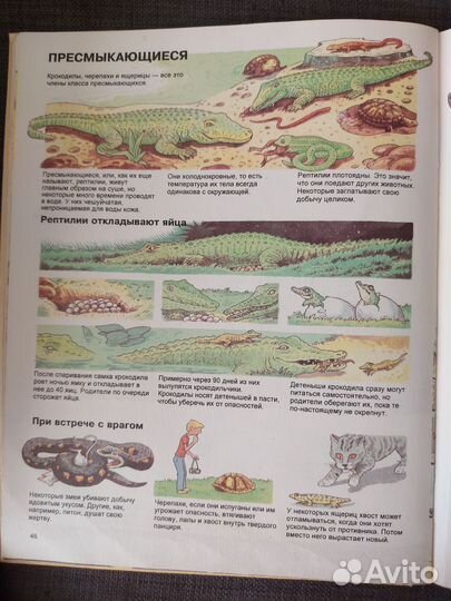 Детская энциклопедия