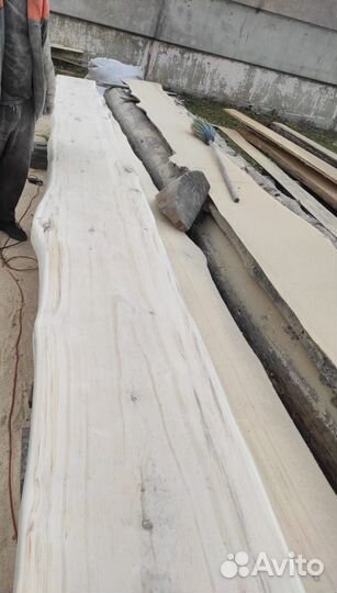 Слэбы из дерева кедра