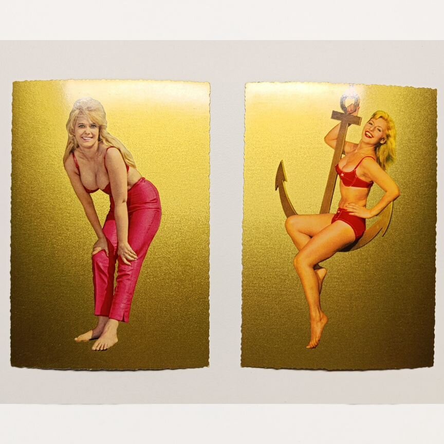 Жириновский секс туралы видео