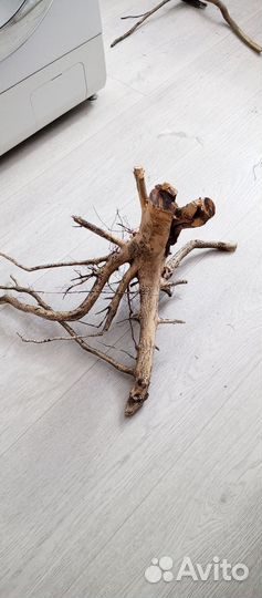 Коряги для аквариума