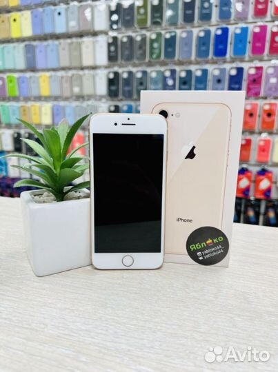 iPhone 8, 64 ГБ