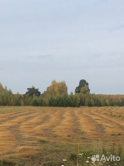 Европейский утеплитель из растительного волокна Ль
