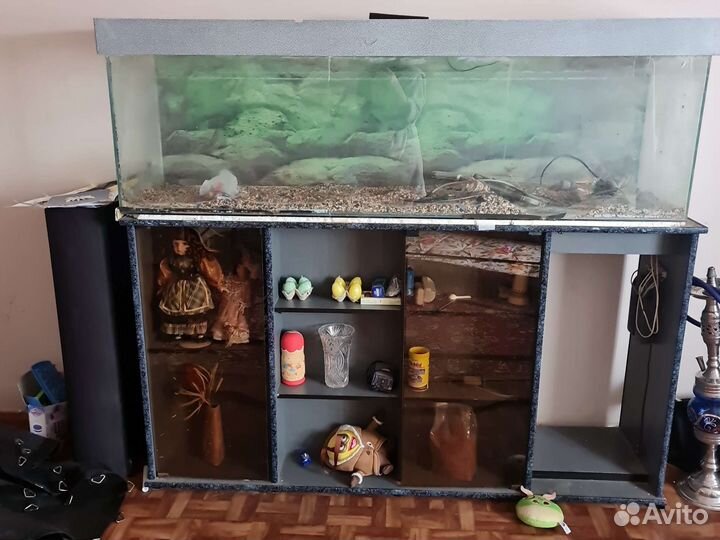 Аквариум