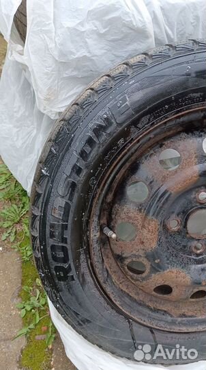 Roadstone Winguard Ice 185/65 R15