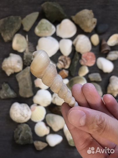 Декорации для аквариума