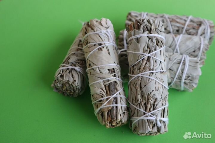 Шалфей Белый от 20шт опт для Озон