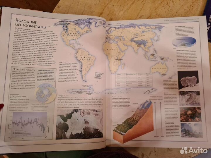Иллюстрированный атлас Живая природа
