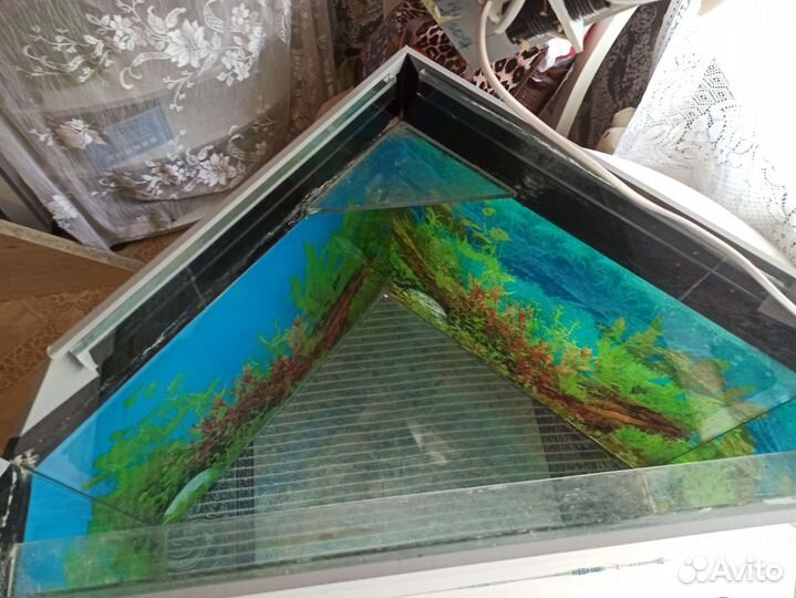 Аквариум