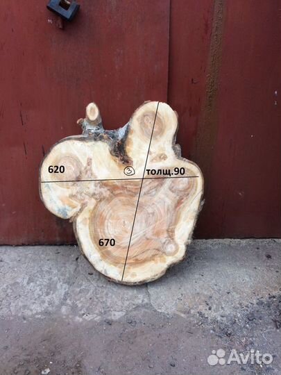 Торцевые спилы деревьев