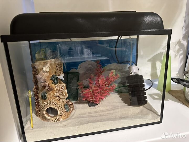 Аквариум