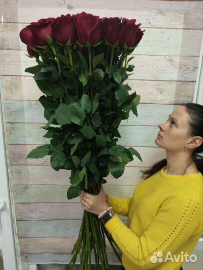 Настоящая метровая роза Эквадор