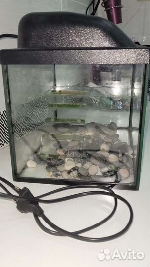 Аквариум террариум