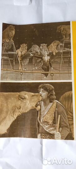 Театральный Ленинград 1983 год 22