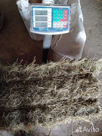 Сено в тюках