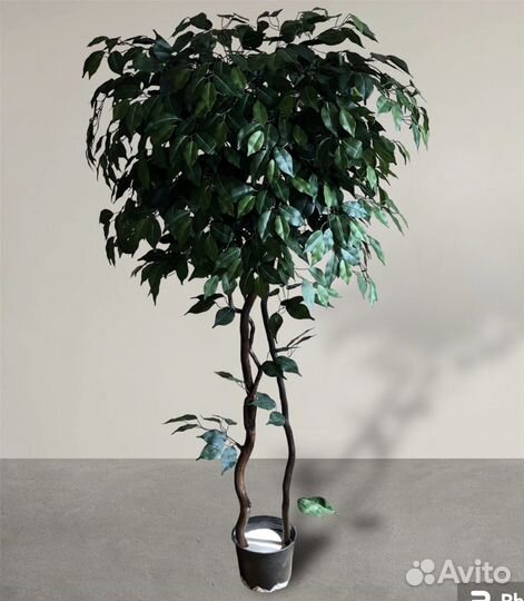 Искусственные деревья и цветы