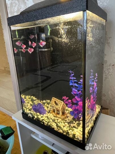 Аквариум на 20 литров