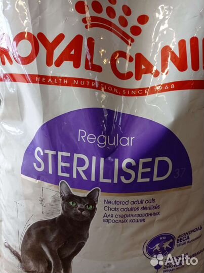 Роял Канин для британских кошек и котов 10кг