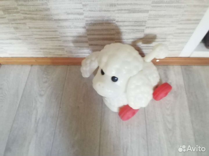 Белый пудель-каталка