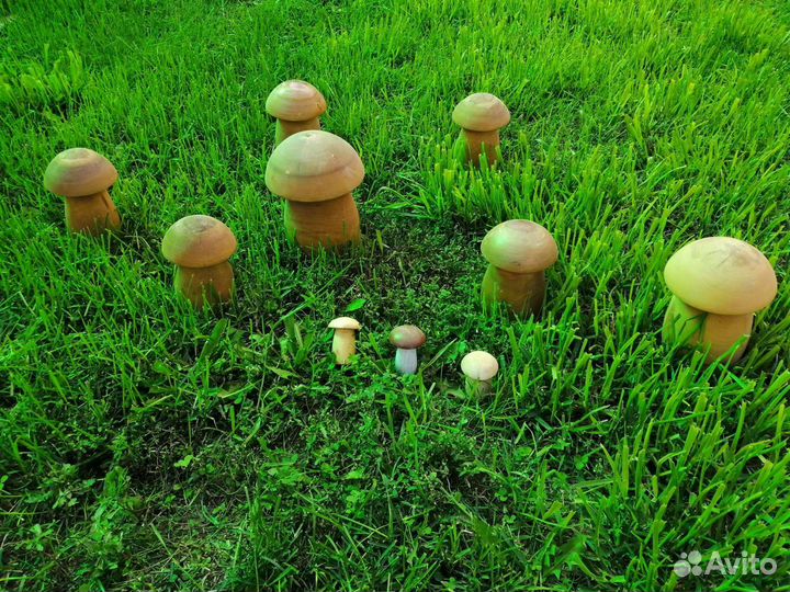 Купить грибы омск