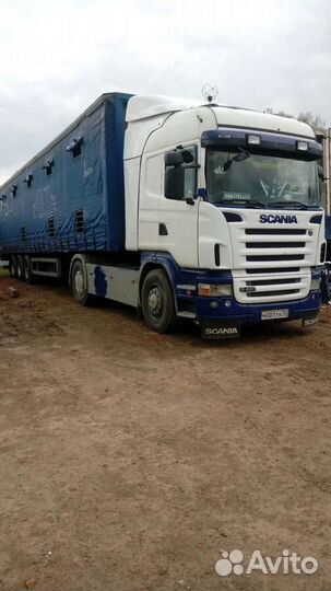 Перевозка скота, крс