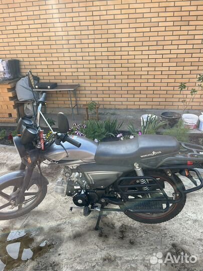 Мопед альфа 110 кубов