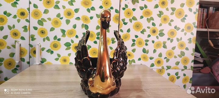 Лебедь чёрный Dipinto amano