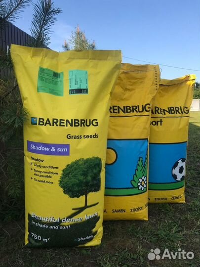 Газонная травосмесь barenbrug Старый парк (газон)