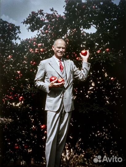 Реставрация старых фотографий