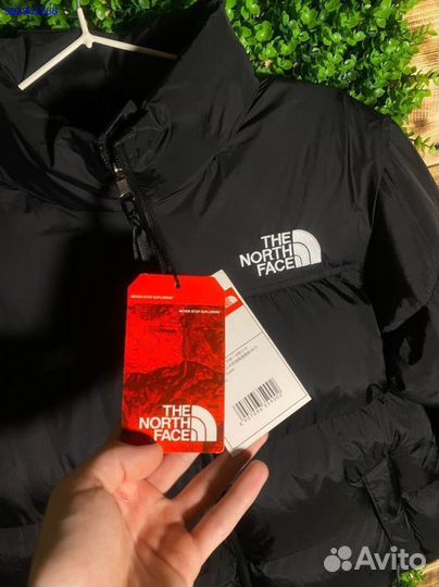 Пуховик The North Face 700