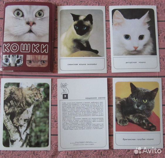 Набор открыток 