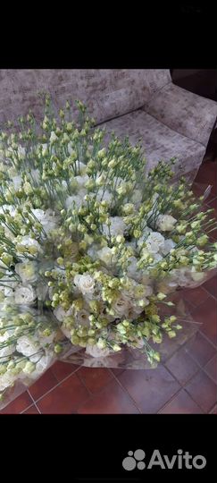 Эустома в наличии