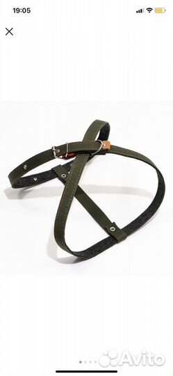 Шлейка для собаки