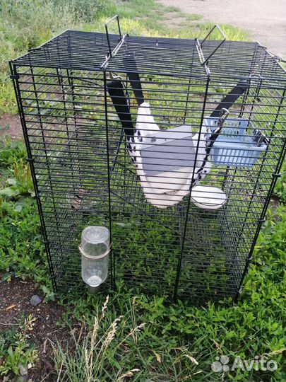 Клетка для животных большая