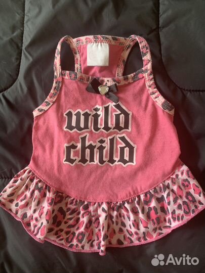 Одежда для маленьких пород собак