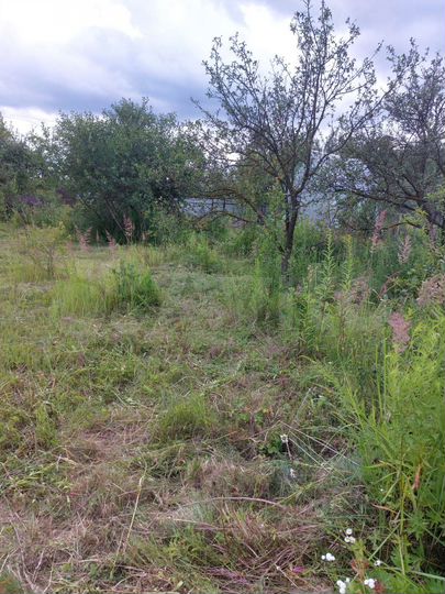 Дача 20 м² на участке 6,6 сот.