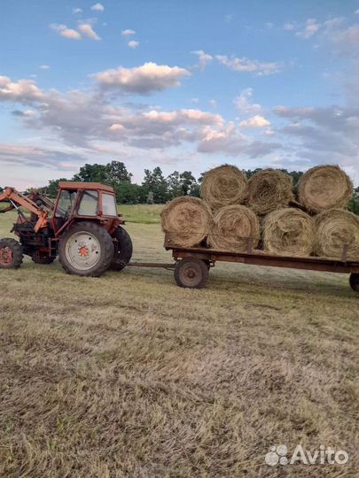 Сено степовое в рулонах