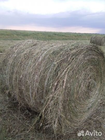 Сено луговое в рулонах
