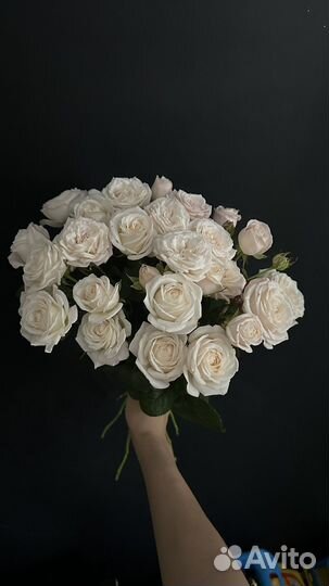 Розы живые цветы букеты кустовые