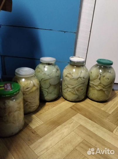 Грибы грузди соленые