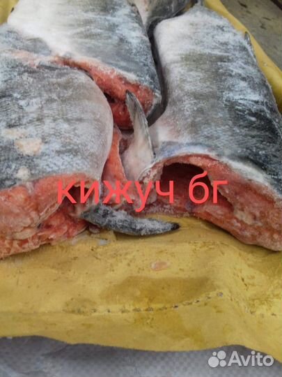 Кижуч б/г
