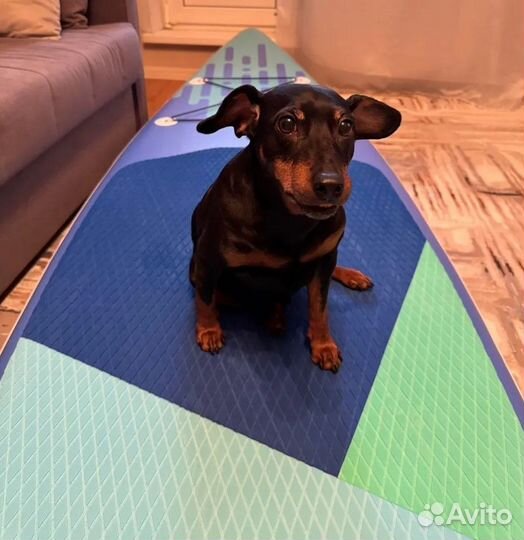 Сапборд сап борд